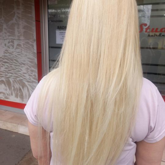 Royal cut - No Limit #beograd