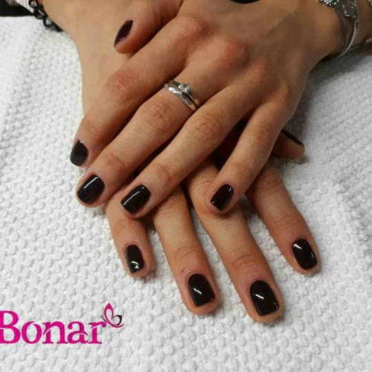 Bonar #beograd Manikir Manikir + shellac
