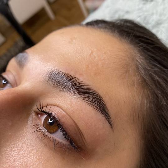 Monami beauty #beograd Obrve Brow lift + lash lift sa botoksom i farbanjem