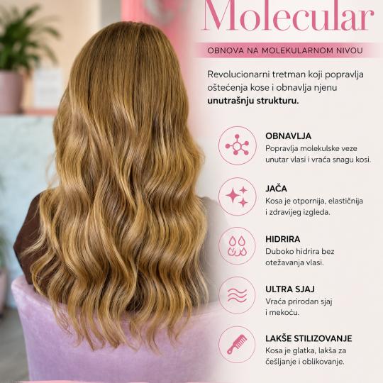HeliS #beograd Nega i ojačavanje kose Loreal Absolut molecular tretman + feniranje Frizerski saloni