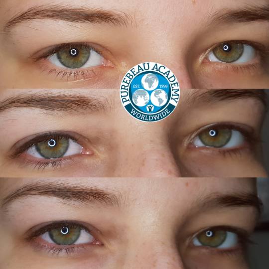 Zirna Exclusive Beauty Center #novisad Trajna šminka