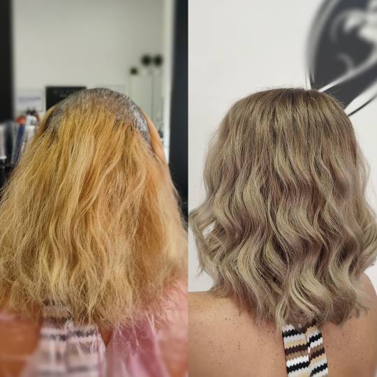 Infinity Hair #novisad Farbanje kose Farbanje cele dužine (profesionalna farba) - duga kosa