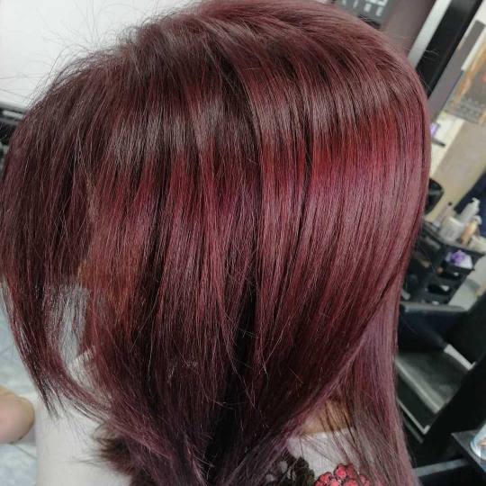 Milica Vlado Profesional #novisad Farbanje kose