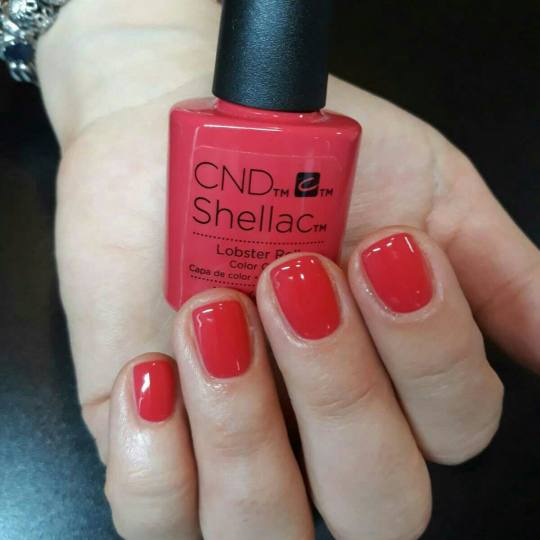 Bonar #beograd Manikir Manikir + shellac