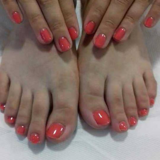 Happy life studio #nis Gel lak Gel lak - ruke + noge gel lak