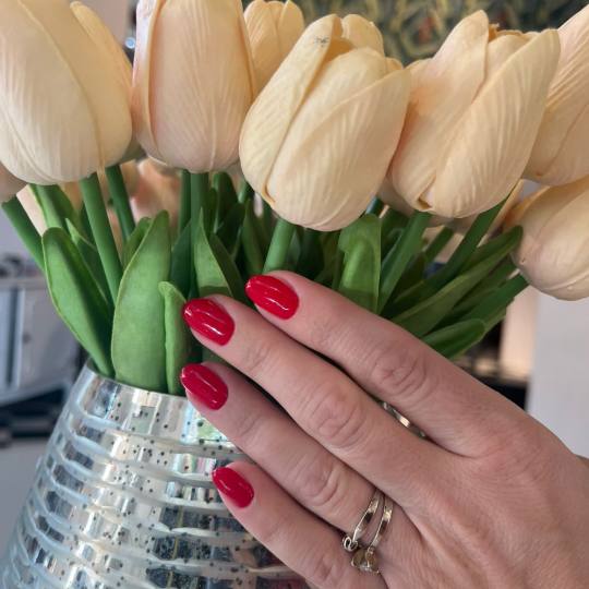 Maestro Nails #beograd Manikir Manikir + gel lak