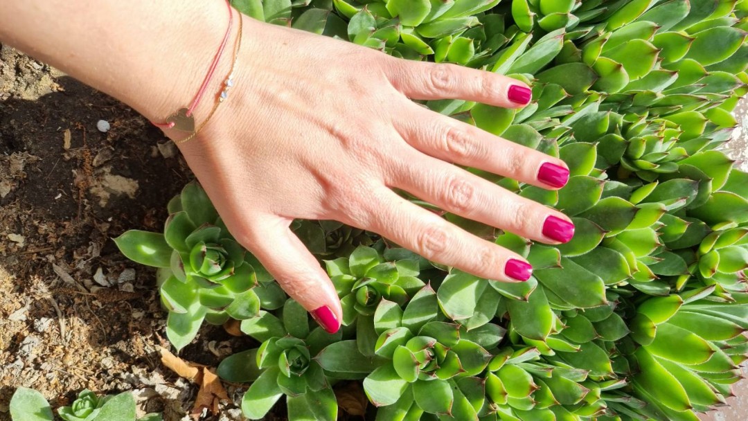 Salončić, Beograd LookBook