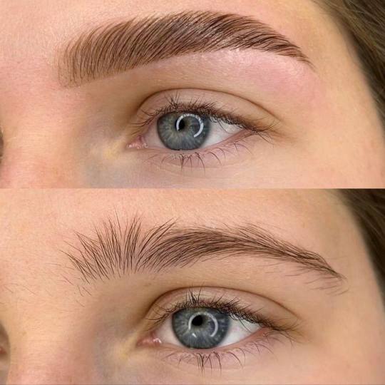 MV Studio #beograd Obrve Brow lift + farbanje obrva