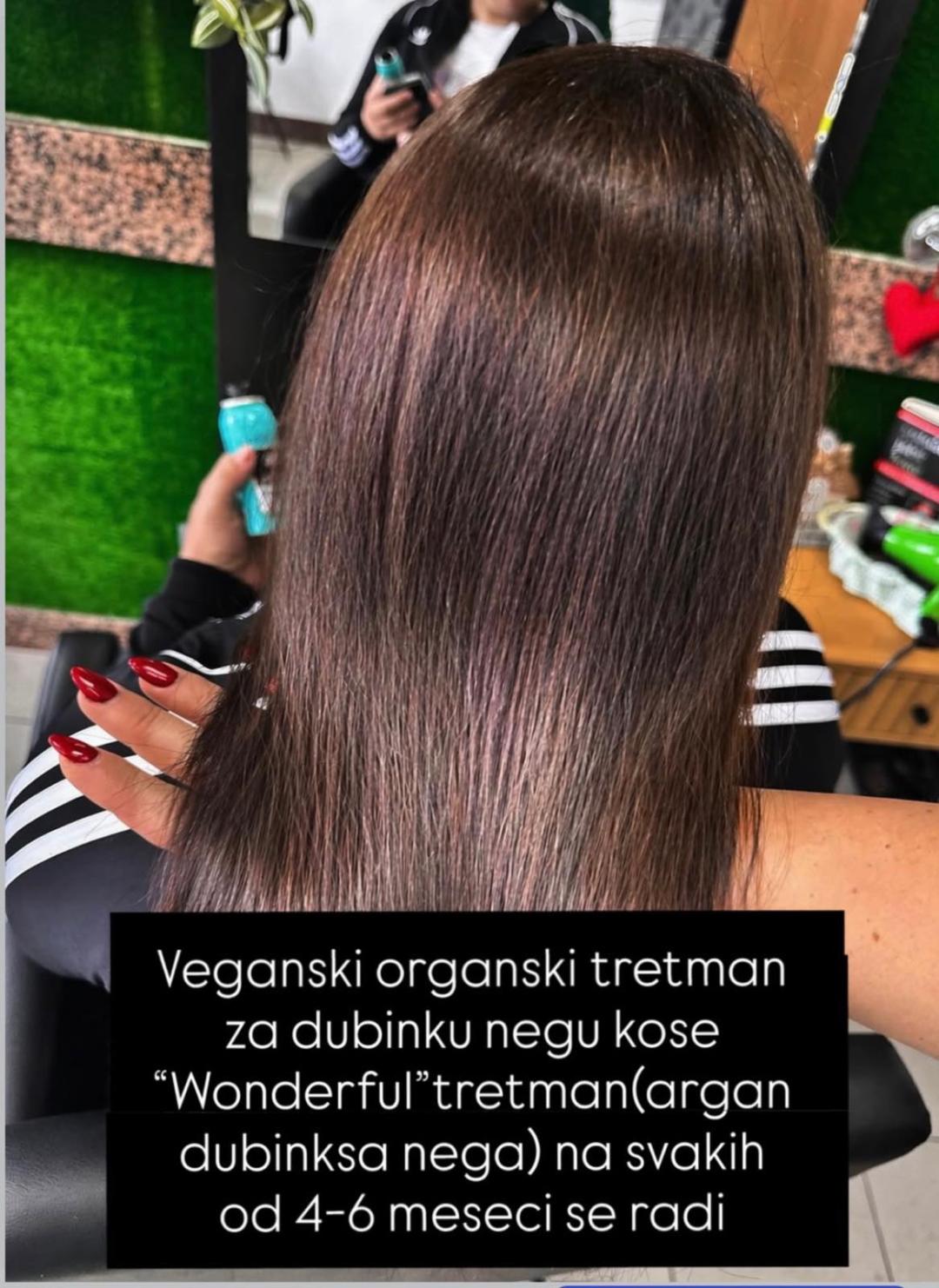 Agan tretman - dubinska hidratacija - Vegan Darija hair delux, Beograd Nega i ojačavanje kose Frizerski saloni Nega i ojačavanje kose, Beograd, Novi Beograd blokovi, Belville, Savski kej