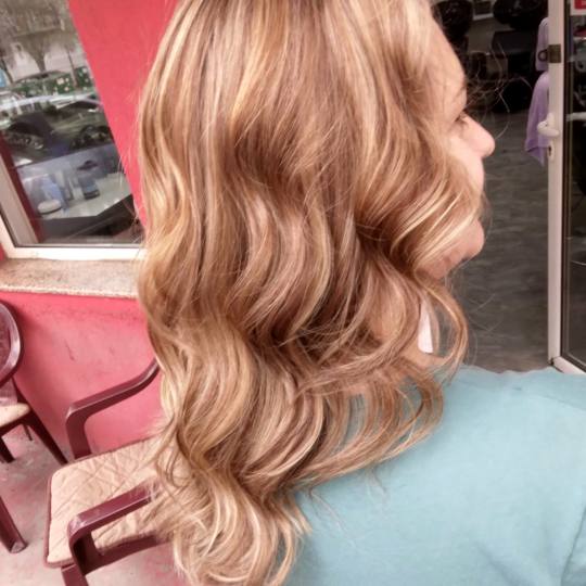 Royal Cut by Pro Cut #beograd