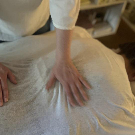 SAWUBONA Shiatsu Studio usluga