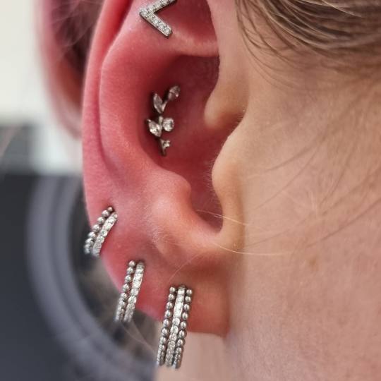Bling Bling Piercing #beograd Titanijumski nakit i anatomsko prilagodjavaje
Conch pirsing
Shenmen 