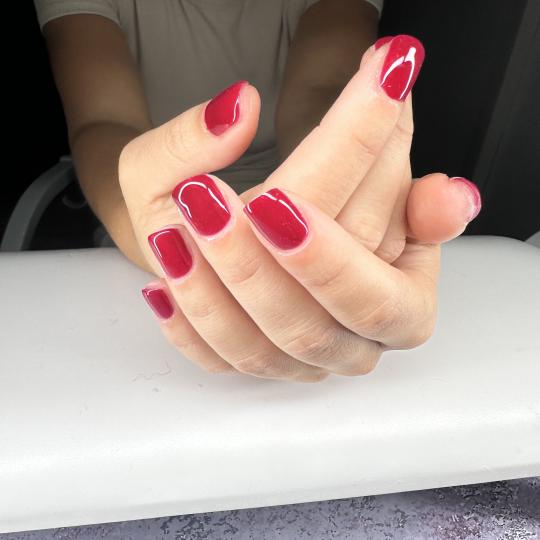 Petra beauty concept #beograd Manikir Manikir + gel lak