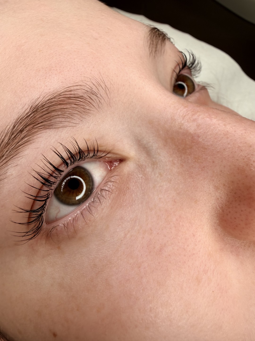 L’Avenue #beograd Trepavice Korejski lash lift sa farbanjem