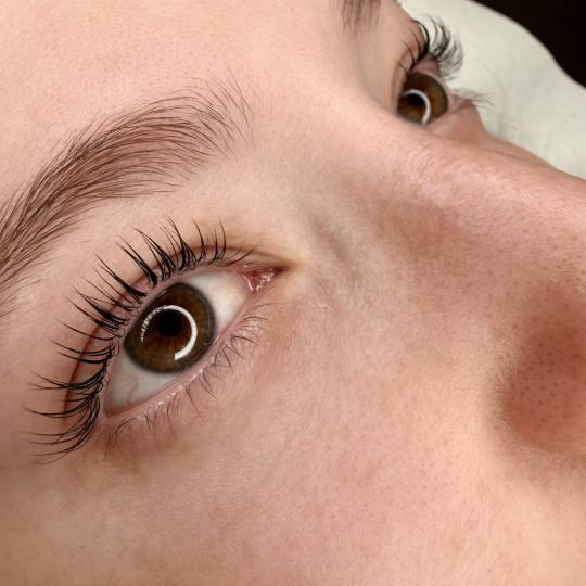 L’Avenue #beograd Trepavice Korejski lash lift sa farbanjem