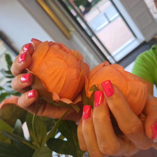 Esthetique Privé #beograd