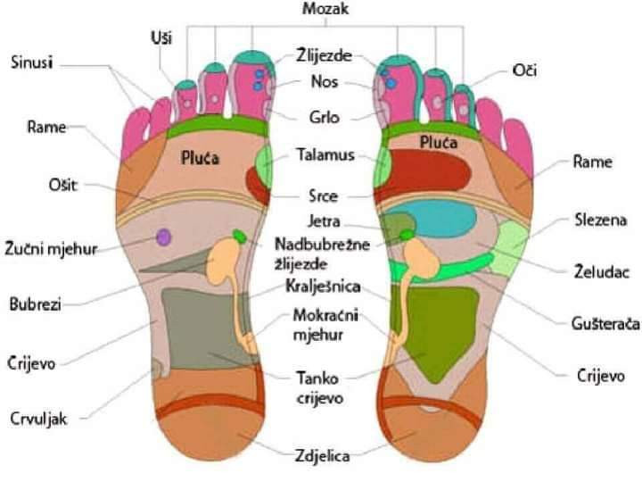 Beauty in Style DM #novisad Refleksologija stopala Refleksologija stopala