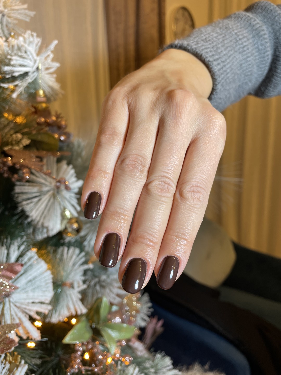 True Beauty #novisad