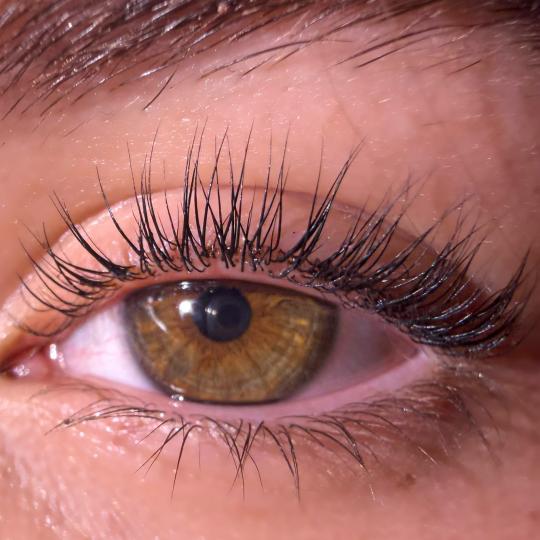 Sarita secret #beograd Trepavice Lash lift + farbanje trepavica