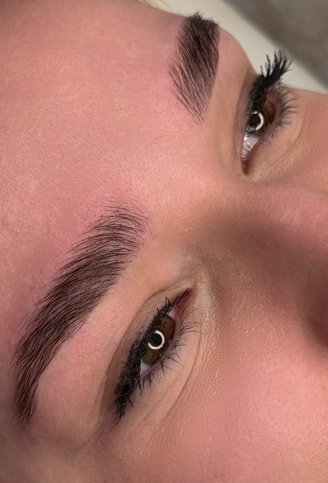 Liberty beauty studio #beograd Obrve Brow lamination