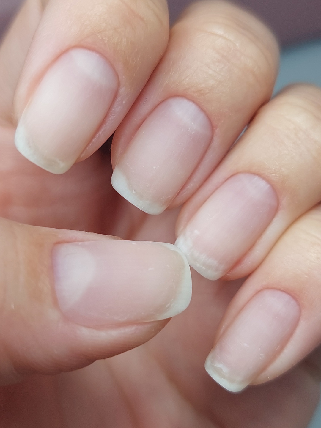 Fearless Beauty Studio #beograd Manikir Manikir za zene - kombinovani