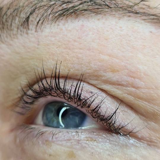 SunBox #beograd Trepavice Lash lift