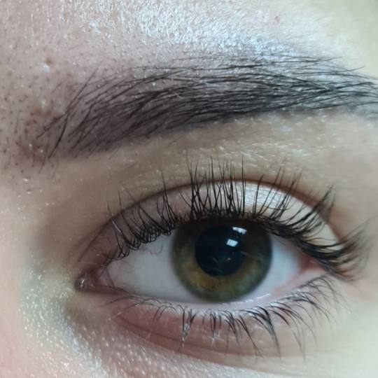SunBox #beograd Obrve Brow lift