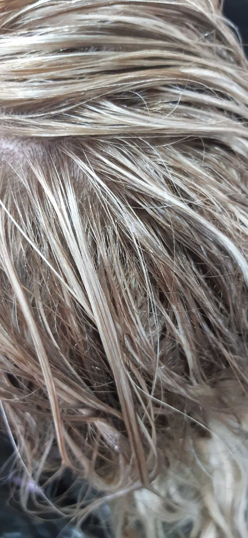 Estetik & Hairstilyst studio F #beograd Farbanje kose Robson Peluquero toner tretman - duga kosa