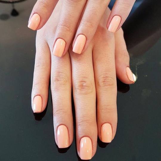 Beauty Station #beograd Gel lak Shellac Salmon run Manikir + Shellac trajni lak Trajni lak, za razli