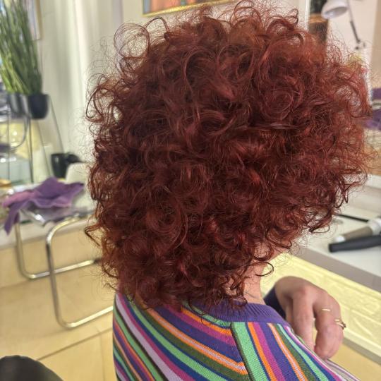 Tmins - My Way Vračar #beograd Minival Minival - kosa srednje dužine