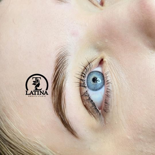 Latina beauty studio #beograd Obrve Brow lift