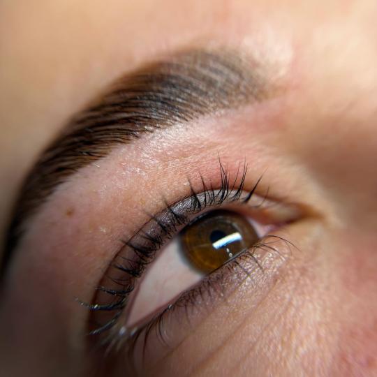 Alexandria Brow&Beauty lounge #beograd Trepavice Brow beauty&care paket