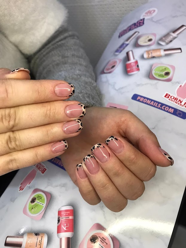 Pronails Premium - Belvil #beograd
