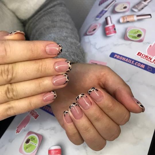 Pronails Premium - Belvil #beograd