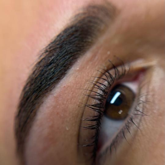 Alexandria Brow&Beauty lounge #beograd Trepavice Lash lift