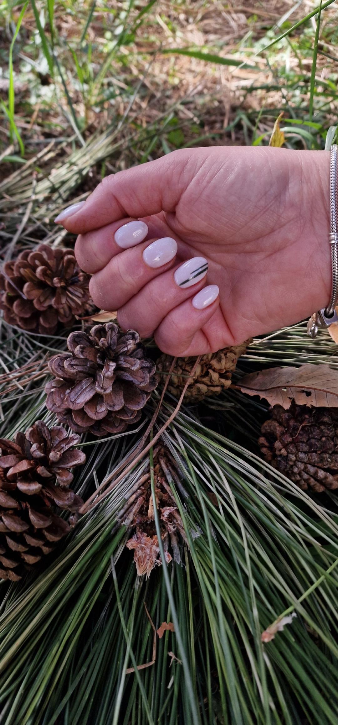 Gel lak - ruke - Studio lepote Cik Cak, Beograd Gel lak Nokti Gel lak, Beograd, Košutnjak, Filmski grad, Golf naselje