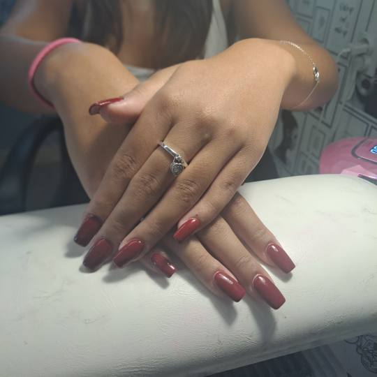 Primadonna Jelena #pancevo