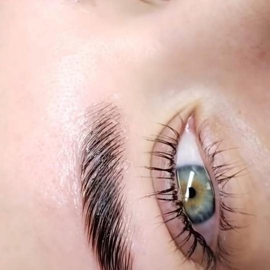 Esthetique Privé #beograd Obrve Brow lift + lash lift + farbanje obrva i trepavica