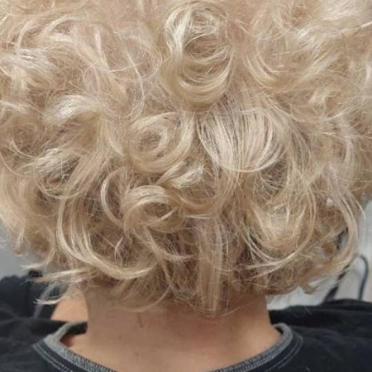 Astradas 2 #beograd Minival Mini-val - kratka kosa Minival