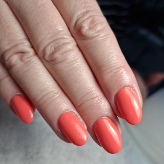 Gama Cosmetics usluga