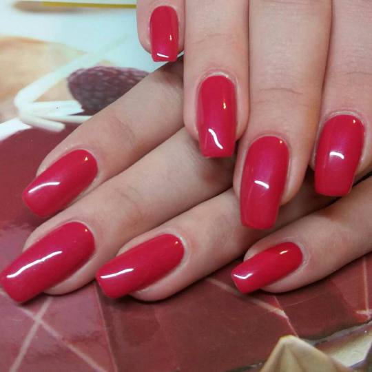 Unique Touch #beograd Manikir Manikir + gel lak french manikir + lak gel ( jessica )