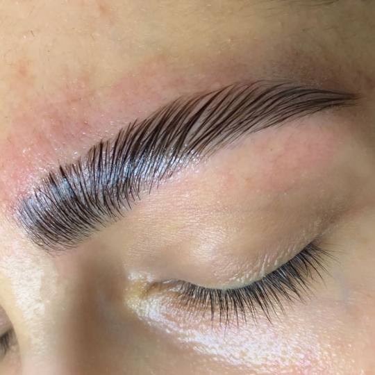 Monami beauty #beograd Obrve Brow lift + farbanje obrva
