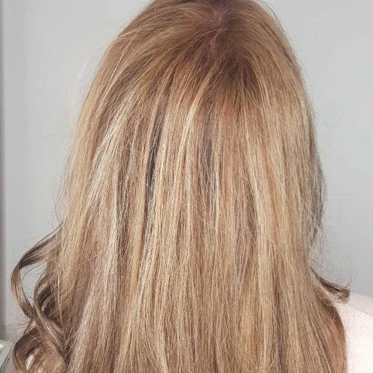 Cut 'n' Go #novisad Ombre, sombre, balayage Balayage - duga kosa