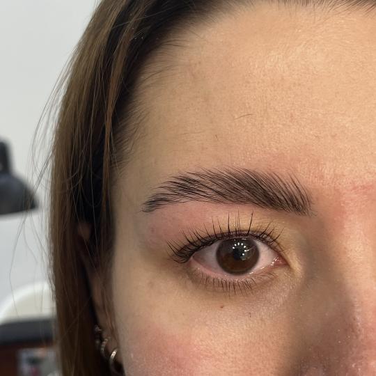 Pudra beauty #beograd Trepavice Lash lift