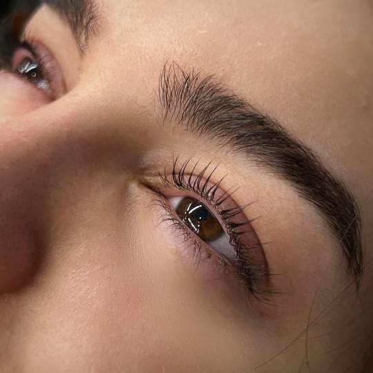 Alexandria Brow&Beauty lounge #beograd Trepavice Lash lift