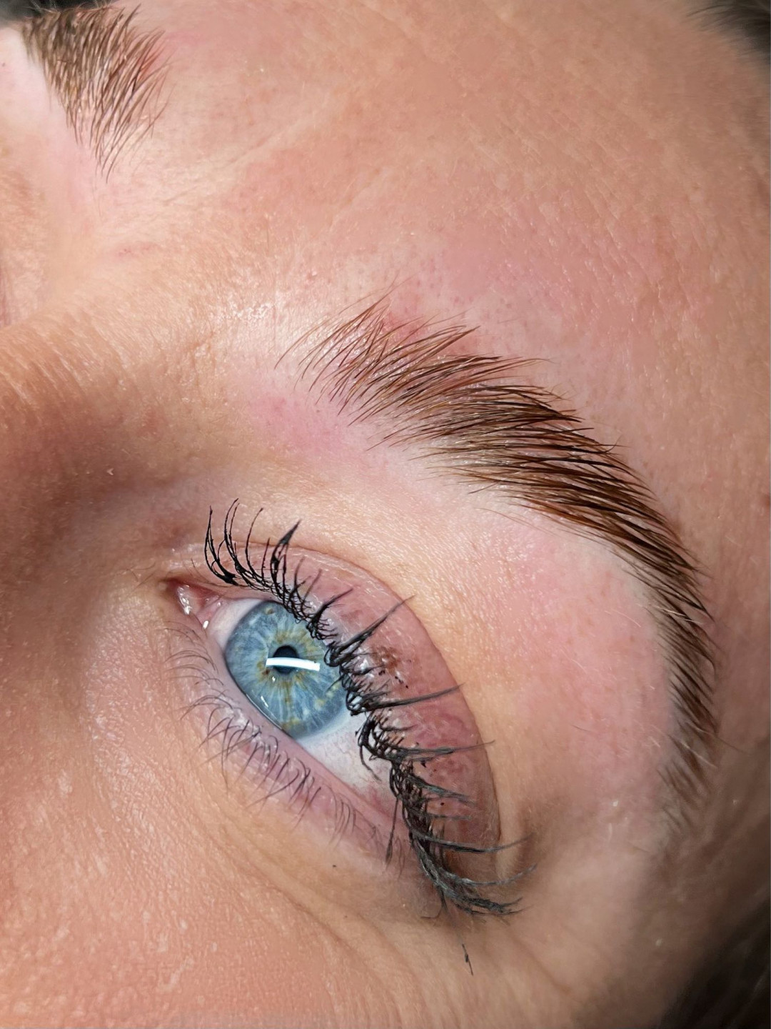 Alexandria Brow&Beauty lounge #beograd Obrve Brow lift
