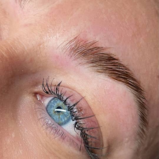 Alexandria Brow&Beauty lounge #beograd Obrve Brow lift