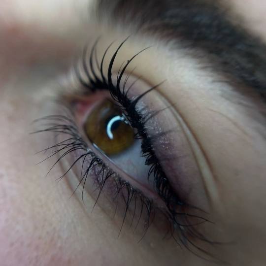 Hermanita beauty studio #beograd Trepavice Lash lift