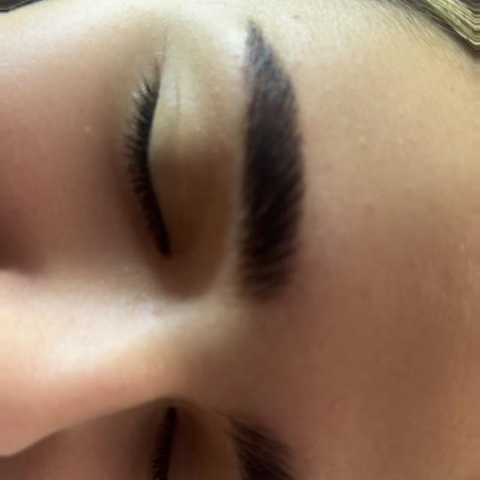 TT beauty atelier #beograd Obrve Brow lift