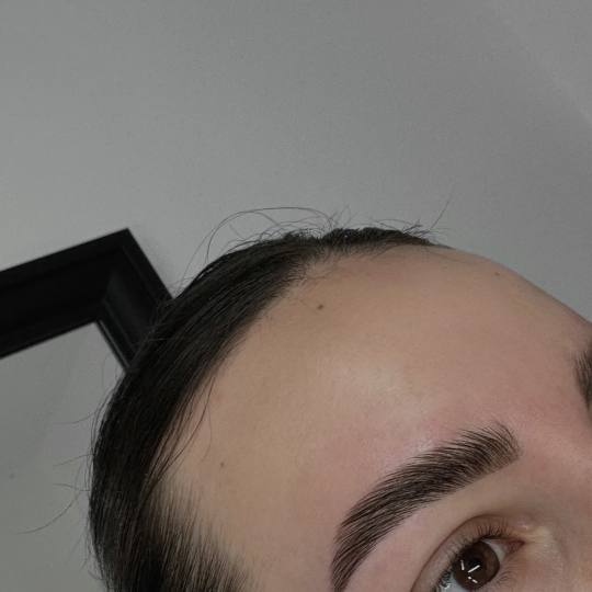 Svemir Beauty Palace #beograd Obrve Brow lift + korekcija obrva voskom / pincetom + farbanje obrva